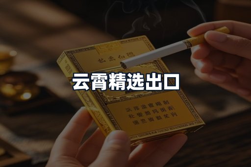 云霄精选出口